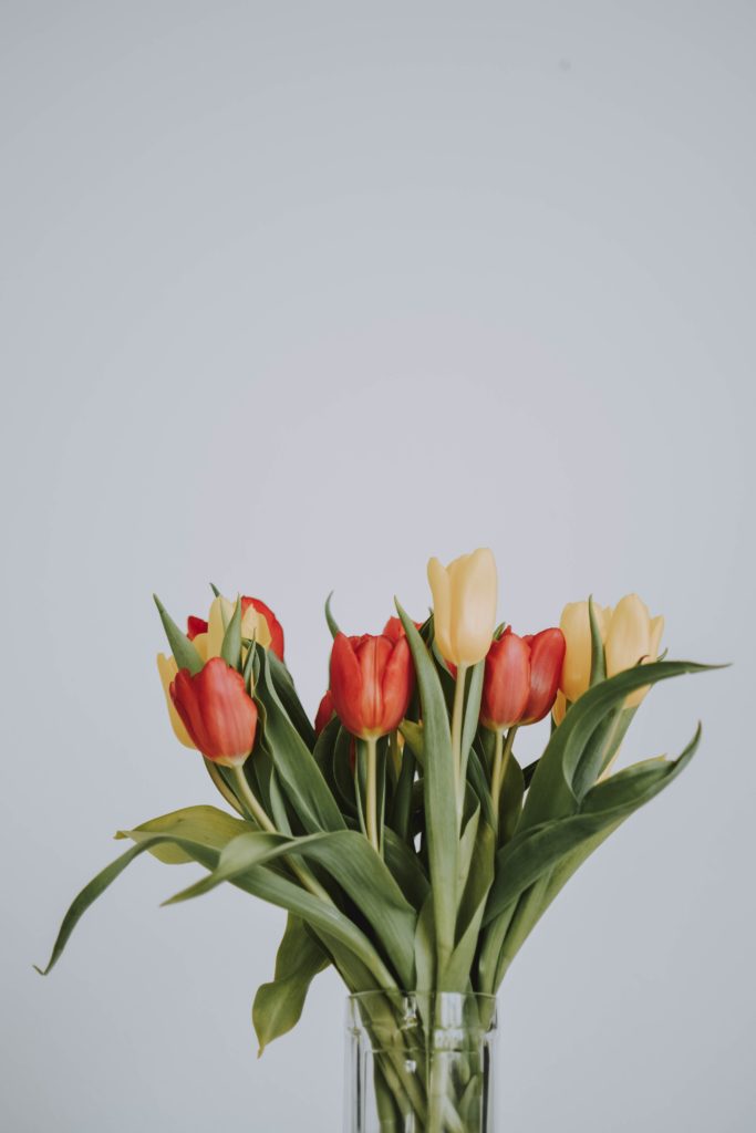 march goals unsplash tulips