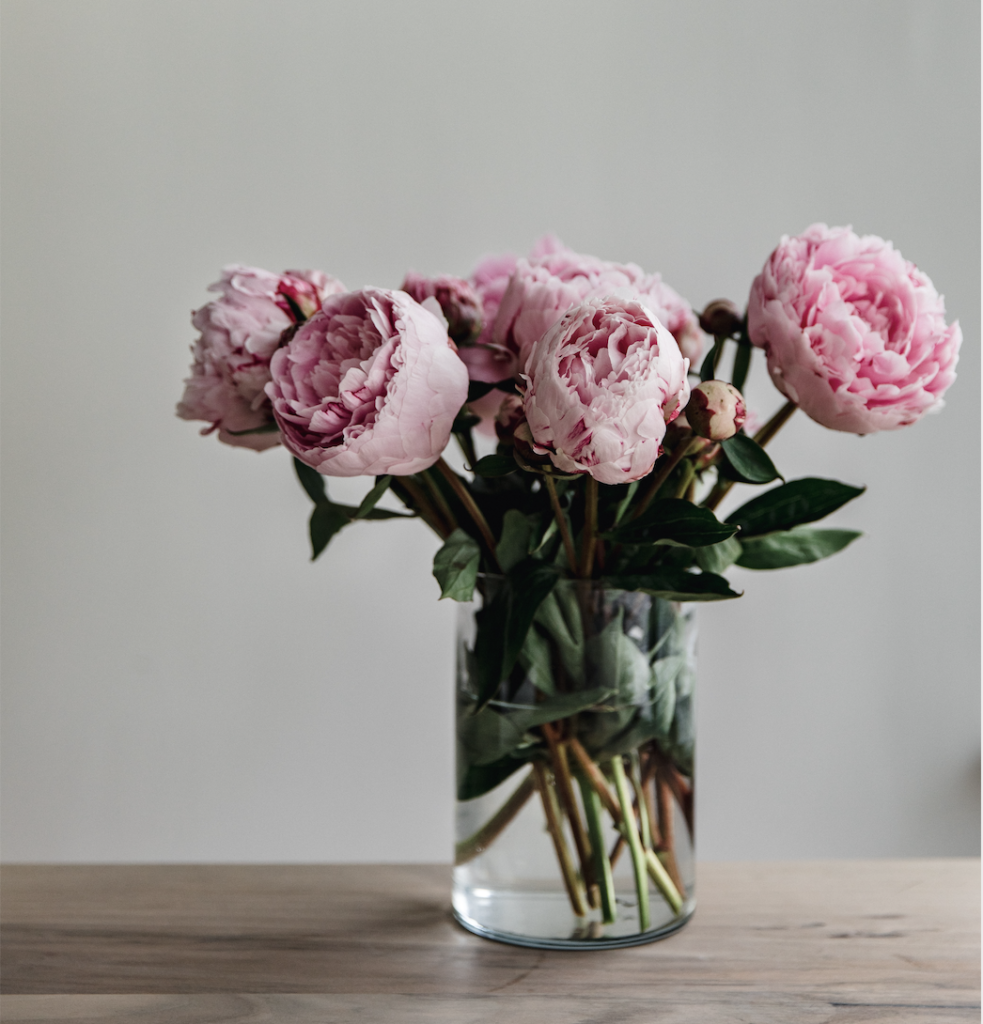 May Goals 2020 | www.yourstrulyelizab.com | pink peonies