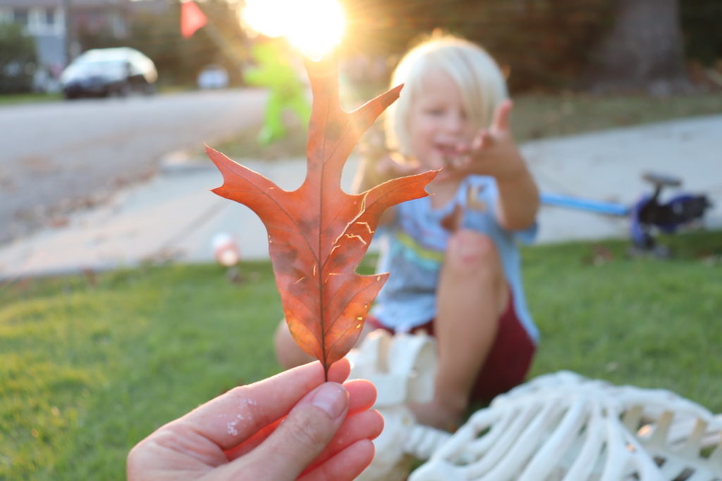 November Intentions 2021 blog post | www.yourstrulyelizab.com | photo of autumn leaf being held with young boy in the background taken by Eliza B.
